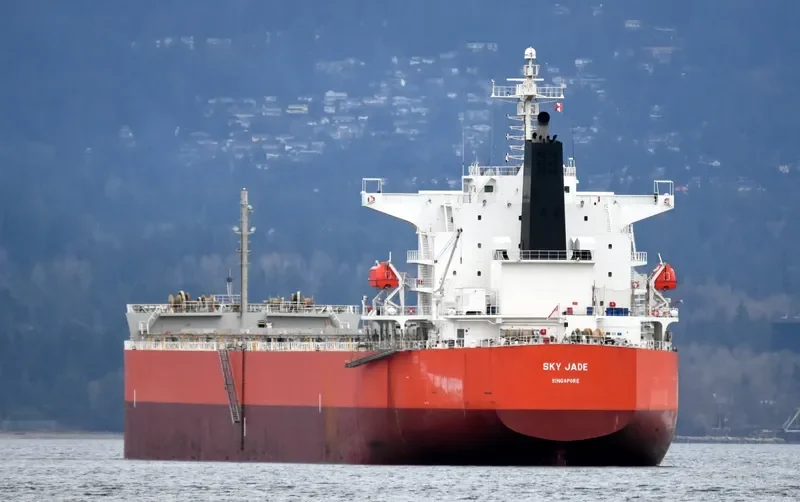RU MENG LING Bulk Carrier IMO 9399088 photo 3