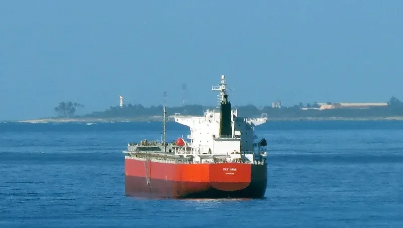 RU MENG LING Bulk Carrier IMO 9399088 photo 4