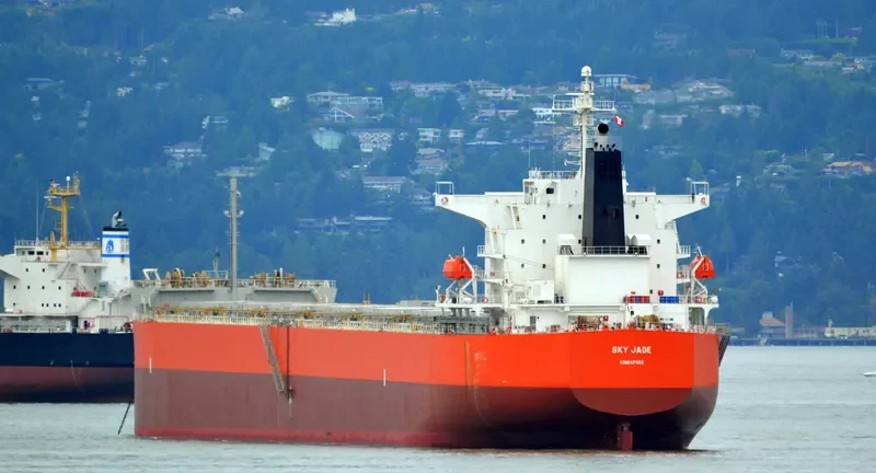 RU MENG LING Bulk Carrier IMO 9399088 photo 7
