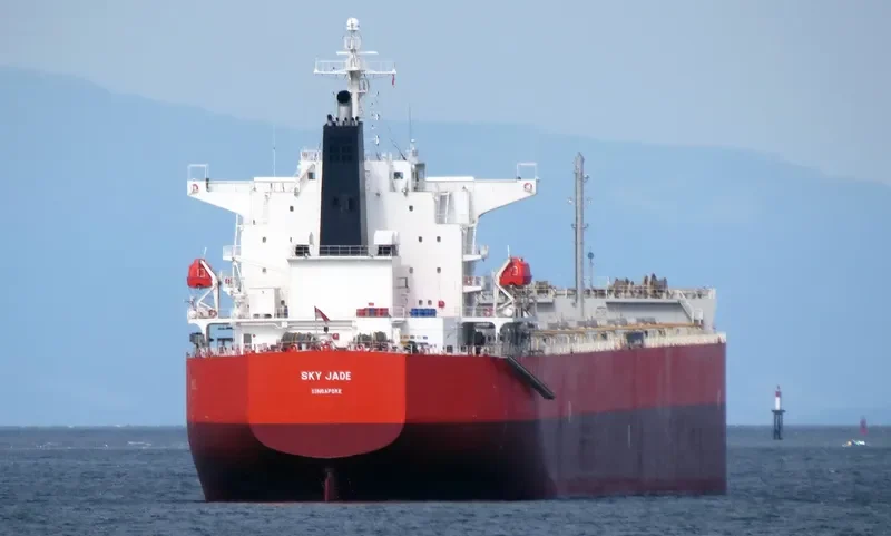 RU MENG LING Bulk Carrier IMO 9399088 photo 9