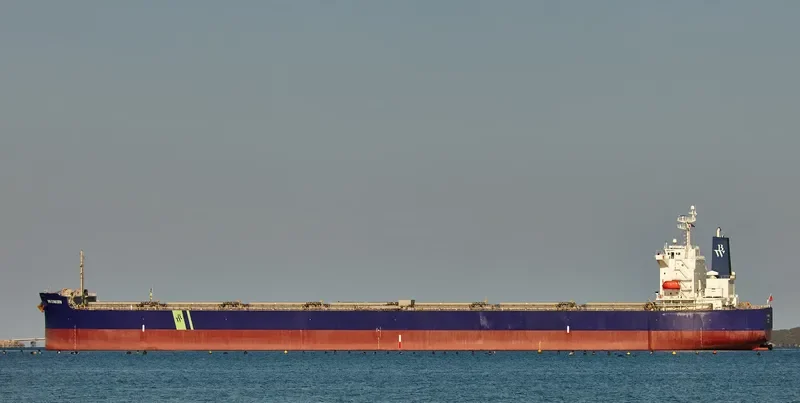 DUKE Bulk Carrier IMO 9399090 photo 2