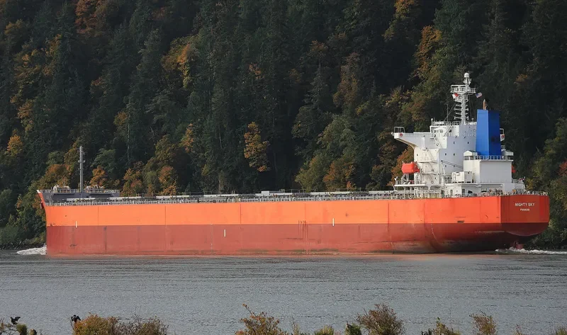 DUKE Bulk Carrier IMO 9399090 photo 6
