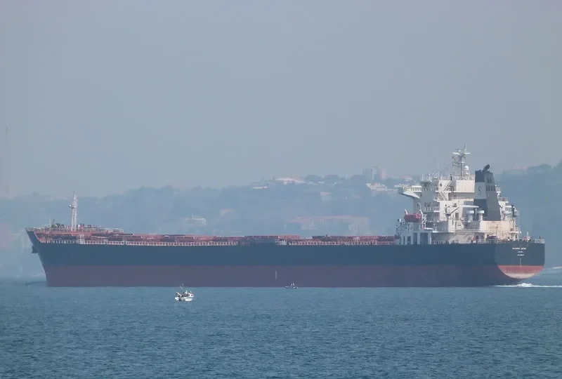 PANAMAX OSTRIA Bulk Carrier IMO 9399557