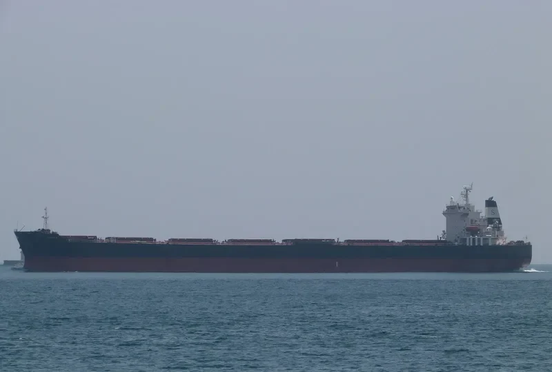 PANAMAX OSTRIA Bulk Carrier IMO 9399557 photo 2