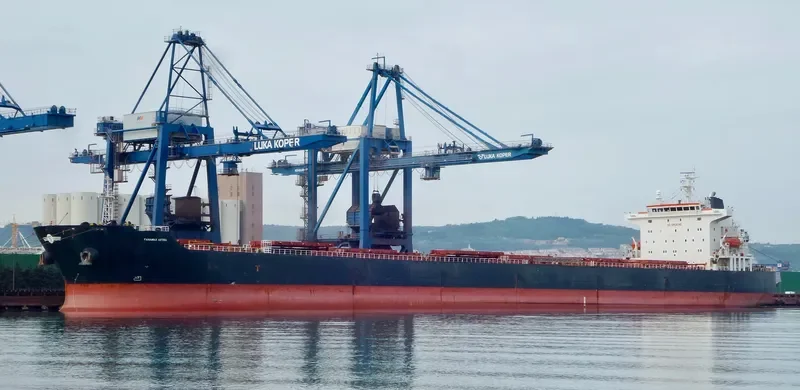 PANAMAX OSTRIA Bulk Carrier IMO 9399557 photo 3