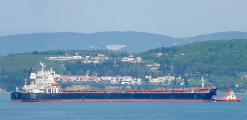 PANAMAX OSTRIA Bulk Carrier IMO 9399557 photo 4