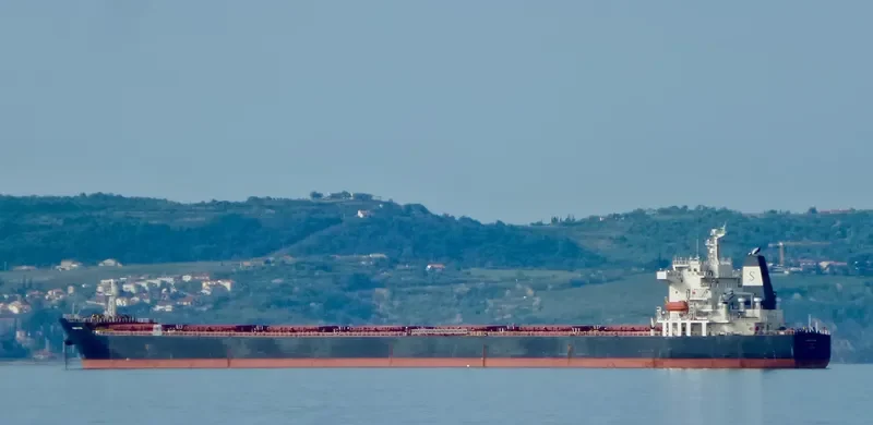 PANAMAX OSTRIA Bulk Carrier IMO 9399557 photo 5