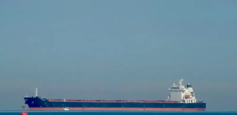 PANAMAX OSTRIA Bulk Carrier IMO 9399557 photo 6