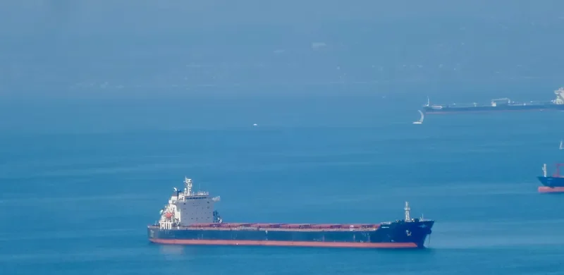 PANAMAX OSTRIA Bulk Carrier IMO 9399557 photo 7