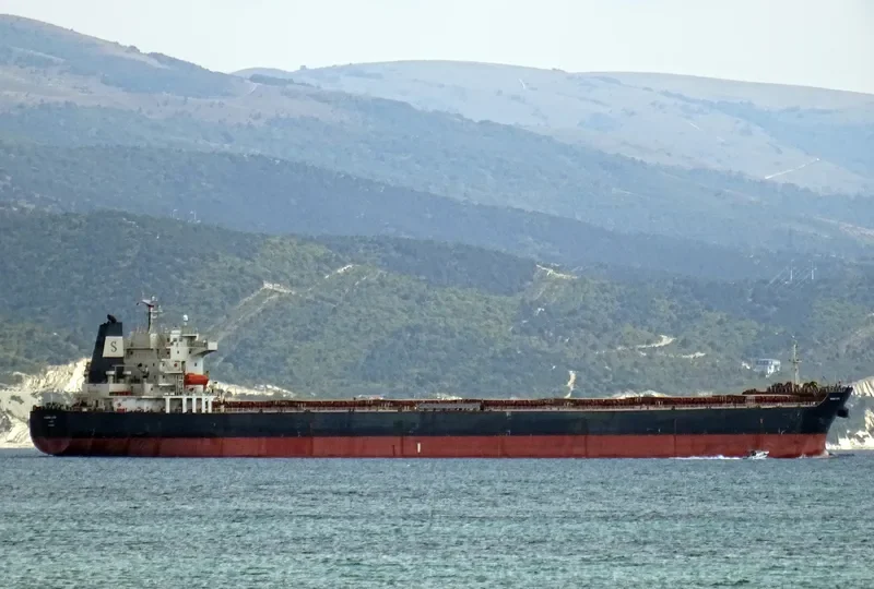 PANAMAX OSTRIA Bulk Carrier IMO 9399557 photo 9