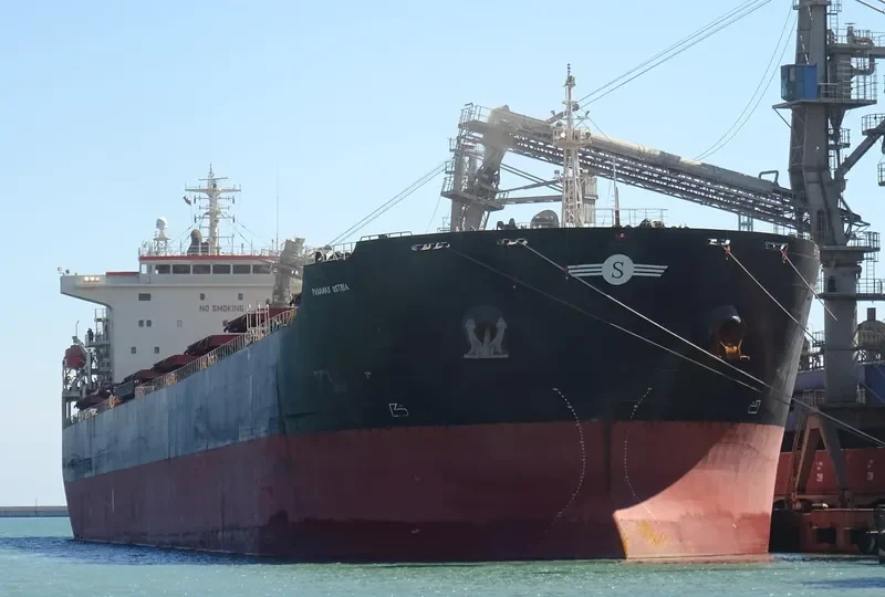 PANAMAX OSTRIA Bulk Carrier IMO 9399557 photo 10