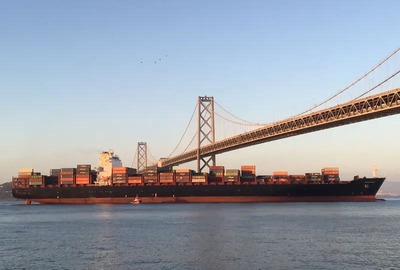NAVARINO Container Ship IMO 9400289