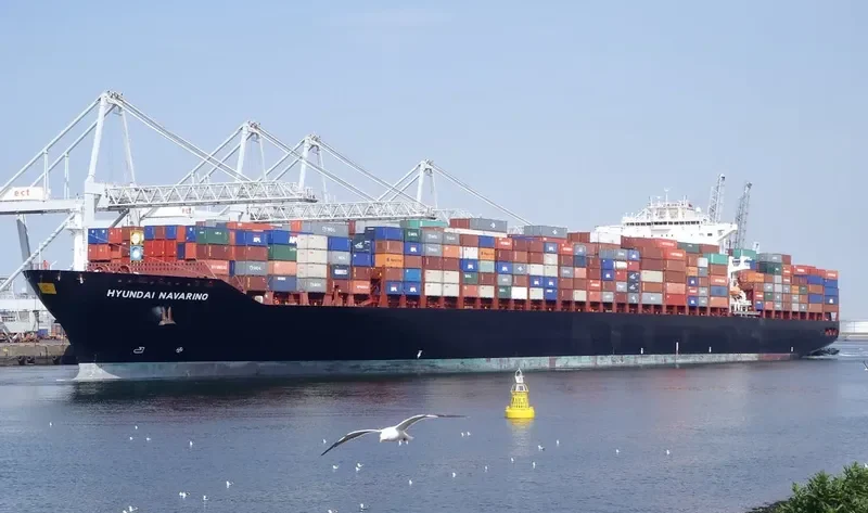 NAVARINO Container Ship IMO 9400289 photo 10