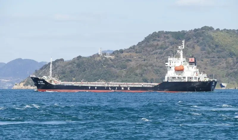 TY IRIS General Cargo IMO 9400435 photo 2