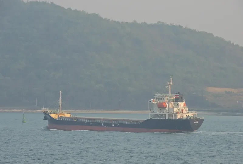 TY IRIS General Cargo IMO 9400435 photo 10