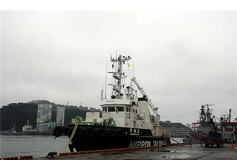 HAYASHIO MARU General Cargo IMO 9400447