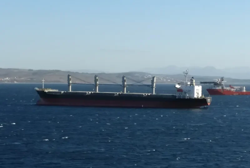 BALD EAGLE General Cargo IMO 9400904 photo 3
