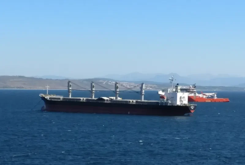 BALD EAGLE General Cargo IMO 9400904 photo 5