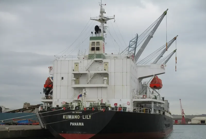 BALD EAGLE General Cargo IMO 9400904 photo 9