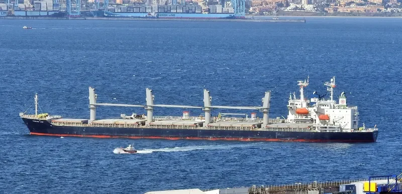 BALD EAGLE General Cargo IMO 9400904 photo 10