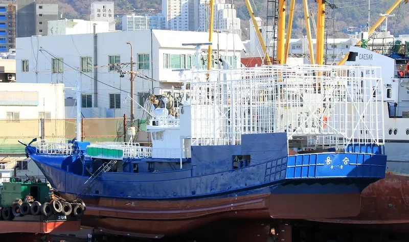 YONG SEONG General Cargo IMO 9401087 photo 2