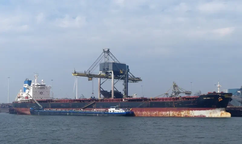 GOLDEN ICE Bulk Carrier IMO 9401362 photo 4