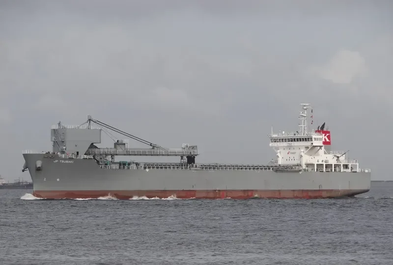 JP TSUBAKI Bulk Carrier IMO 9401374 photo 6