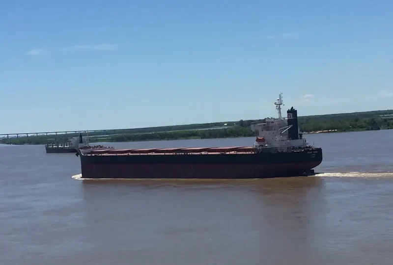 STAR DANAI Bulk Carrier IMO 9401477