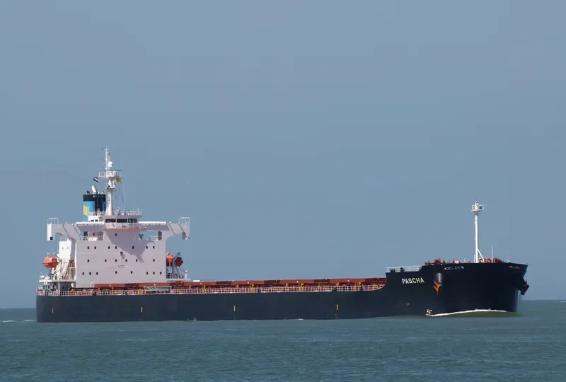 STAR DANAI Bulk Carrier IMO 9401477 photo 9