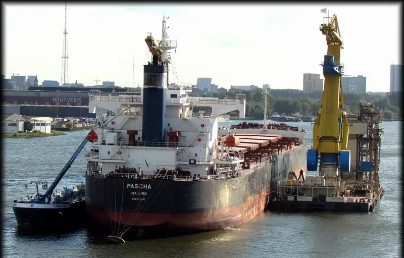 STAR DANAI Bulk Carrier IMO 9401477 photo 10