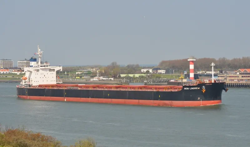 STAR MARIA Bulk Carrier IMO 9401489 photo 3