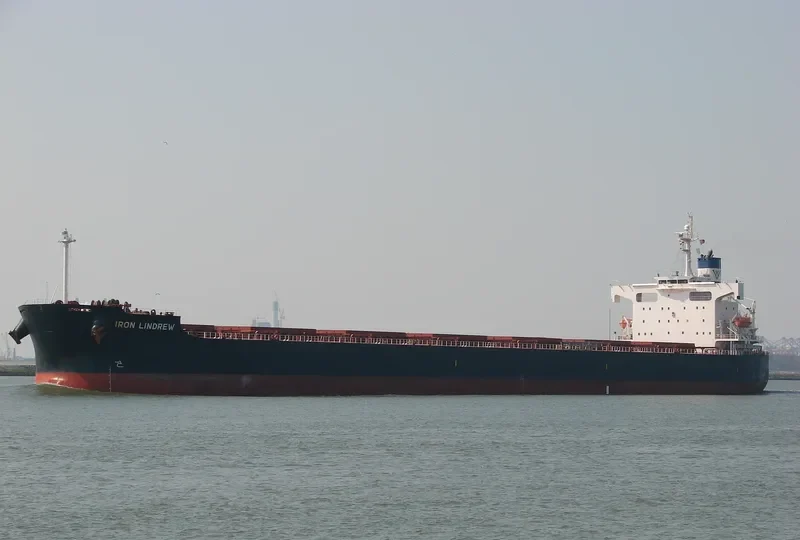STAR MARIA Bulk Carrier IMO 9401489 photo 4
