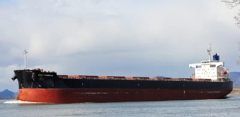 STAR MARKELLA Bulk Carrier IMO 9401491 photo 2