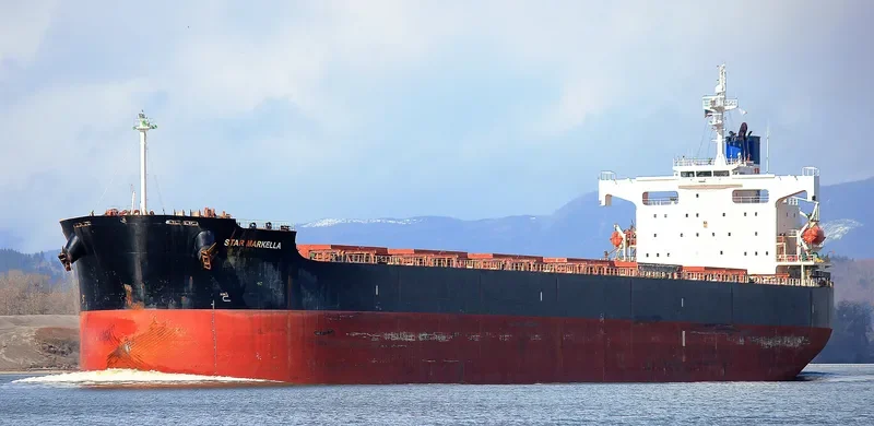 STAR MARKELLA Bulk Carrier IMO 9401491 photo 3