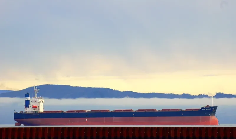 STAR MARKELLA Bulk Carrier IMO 9401491 photo 10