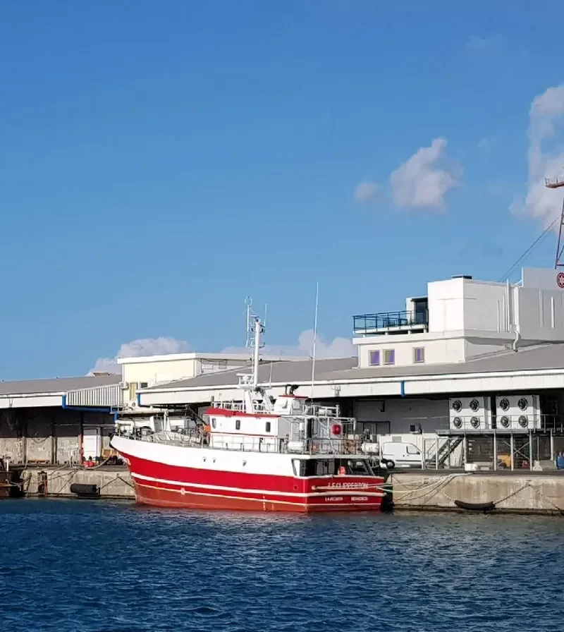 LE CLIPPERTON General Cargo IMO 9401635