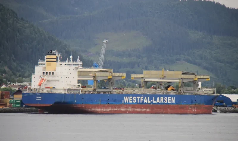 PELICANA General Cargo IMO 9401790 photo 2