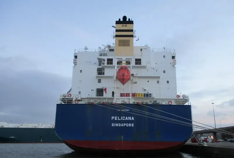 PELICANA General Cargo IMO 9401790 photo 5