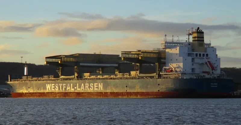 PELICANA General Cargo IMO 9401790 photo 7