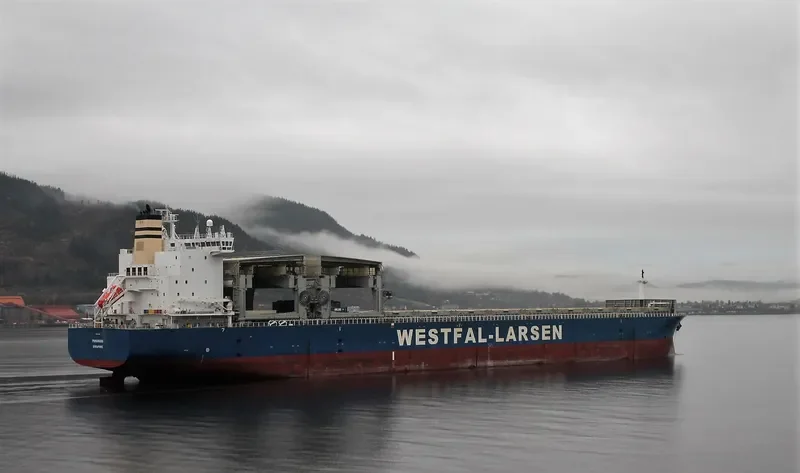 PANAMANA General Cargo IMO 9401805 photo 2