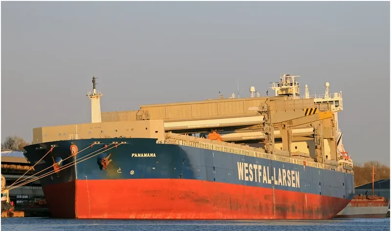 PANAMANA General Cargo IMO 9401805 photo 4