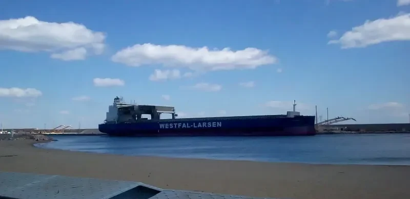 PANAMANA General Cargo IMO 9401805 photo 5
