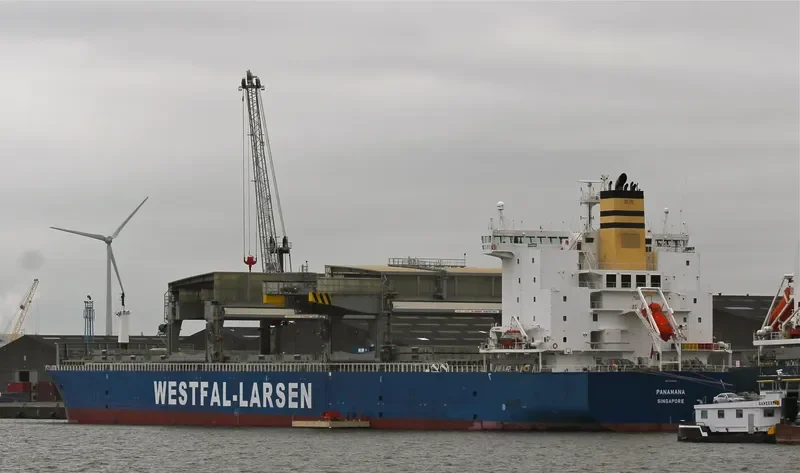 PANAMANA General Cargo IMO 9401805 photo 6