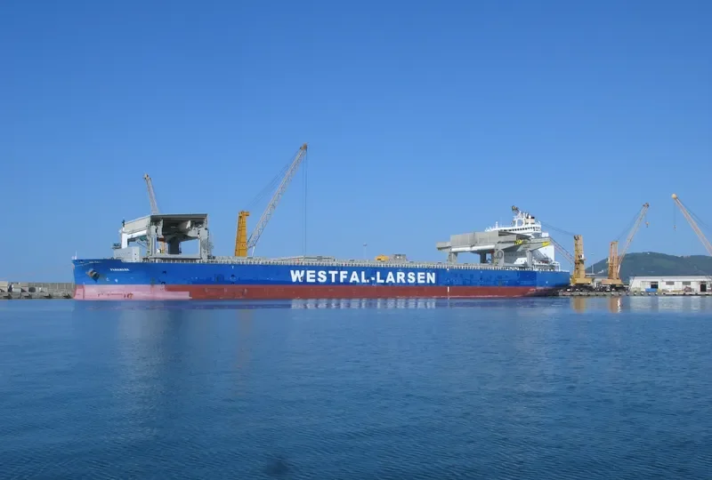 PANAMANA General Cargo IMO 9401805 photo 10