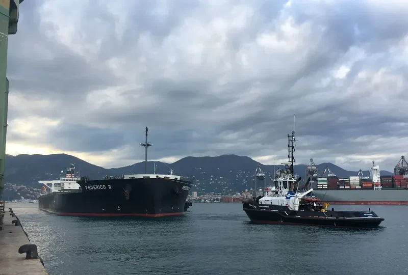 FEDERICO II Bulk Carrier IMO 9401817