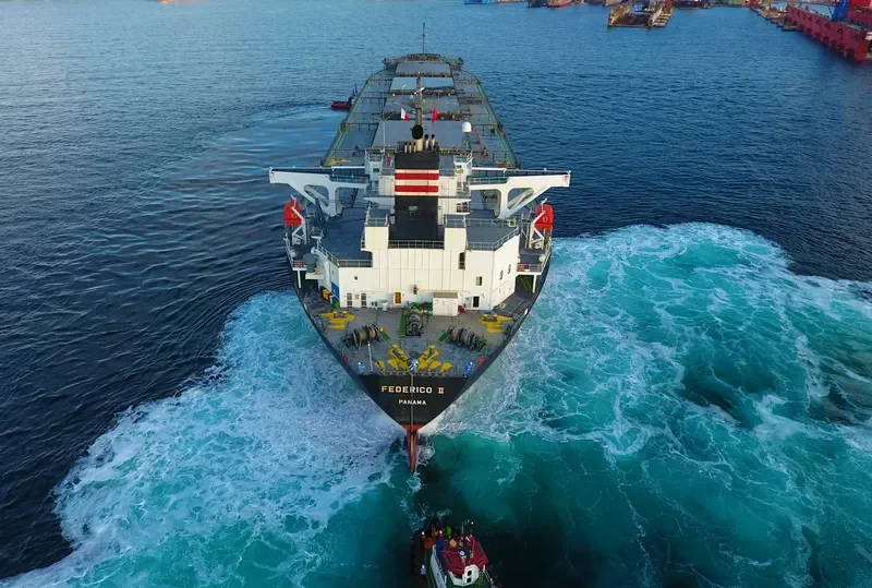FEDERICO II Bulk Carrier IMO 9401817 photo 6