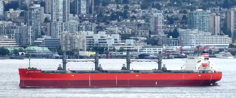 GLOBAL FALCON General Cargo IMO 9401843 photo 2