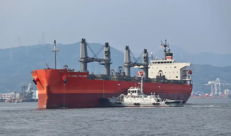 GLOBAL FALCON General Cargo IMO 9401843 photo 3