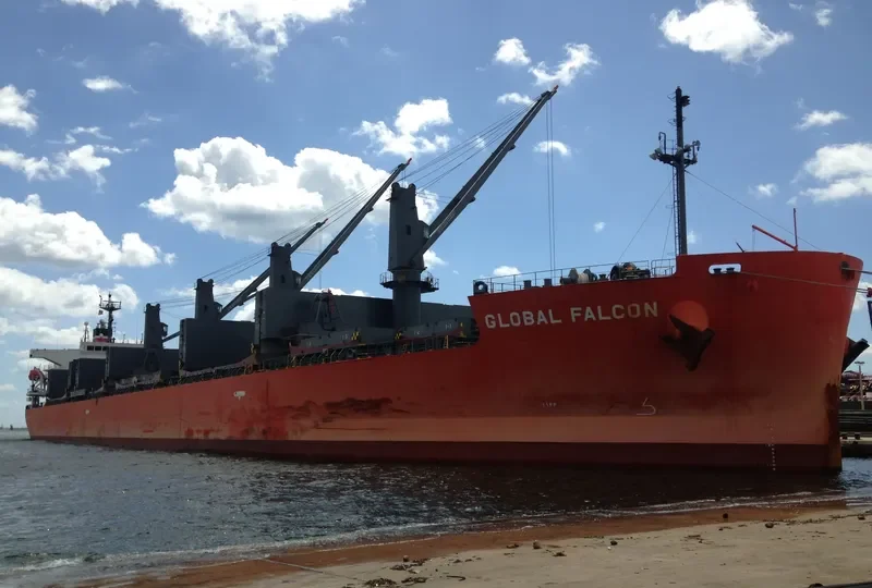 GLOBAL FALCON General Cargo IMO 9401843 photo 7