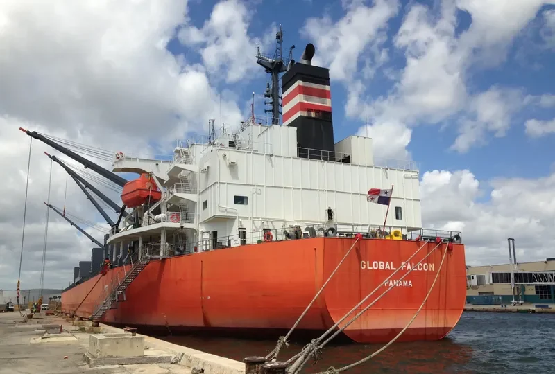 GLOBAL FALCON General Cargo IMO 9401843 photo 8
